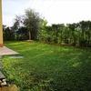 Piantare Giardino