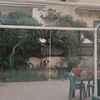Potare O Tagliare Alberi