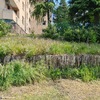 Costruire Muro Pietra