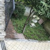 Sistemazione giardino