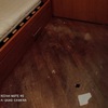 Levigare e Verniciare Parquet (Parziale)