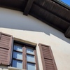 Allontanamento Piccioni