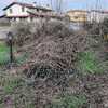 Manutenzione Giardino
