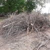 Smaltire Potatura