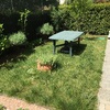 Pavimentare e Piastrellare