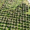 Costruire Altre Installazioni