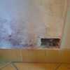 Dipingere Interno Casa