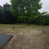 Potare O Tagliare Alberi