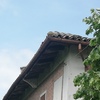 Ristrutturazione Tetto