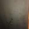 Dipingere Interno Casa