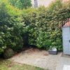 Potare O Tagliare Alberi