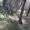 Costruire Muro Pietra