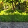 Manutenzione Giardino