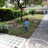 Manutenzione Giardino