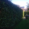 Manutenzione Giardino