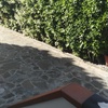 Manutenzione Giardino