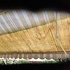 Pulizia Tende Da Sole