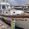 Derattizzazione