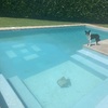 Rivestimento Per Piscina