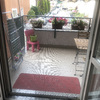 Installare O Sostituire Zanzariere