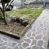 Manutenzione Giardino