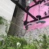 Piantare Giardino