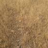 Pulire Terreno Agricolo