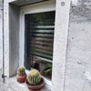 Installare Persiane Materiale Da Scegliere