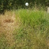 Manutenzione Giardino