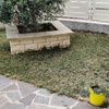 Progettare Giardino
