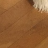 Levigare E Verniciare Parquet
