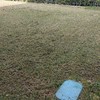 Posare Prato Sintetico