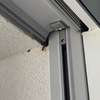 Disinfestazione da Insetti