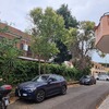 Potare O Tagliare Alberi