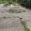 Progettare Giardino