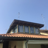 Allontanamento Piccioni