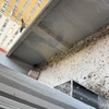 Pulizia Guano Piccioni