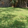 Costruire Piscina Altri Materiali