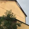 Sistemare tegole