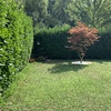 Progettare Giardino