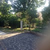 Potare O Tagliare Alberi