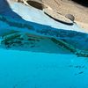 Rivestimento Per Piscina