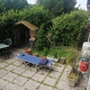 Rete antifuga per gatto in giardino