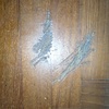 Levigare E Verniciare Parquet