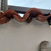 Disinfestazione vespe