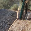 Ringhiere e Recinzioni in PVC