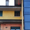 Allontanamento Piccioni