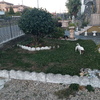 Posare Prato Sintetico