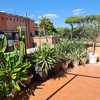 Sistamazione piante terrazzo