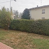 Manutenzione Giardino